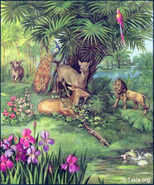 St-Takla.org Image: God created the animals - Paradise, Garden of Eden: Genesis 1:21-22, 24-25     :    -   :  1: 21-22 24-25