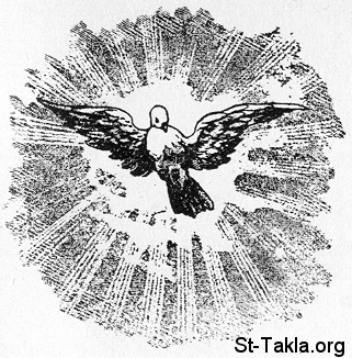St-Takla.org Image: The Spirit of God descended like a dove     :      