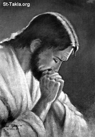 St-Takla.org Image: Jesus Christ praying     :   