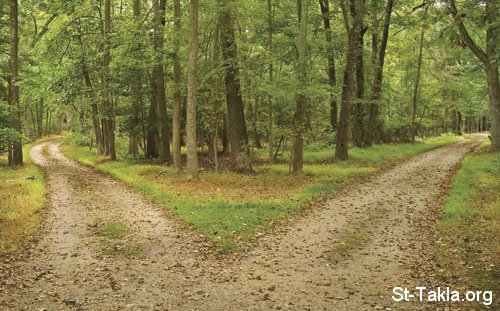 St-Takla.org Image: Two roads, choose one! صورة في موقع الأنبا تكلا: طريقان ينبغي أن تختار بينهما