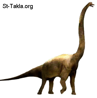 St-Takla.org Image: Brachiosaurus     :  