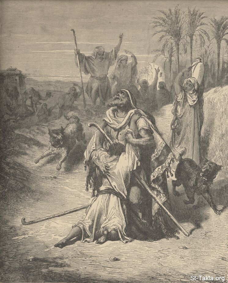 St-Takla.org Image: The prodigal son by Gustave Dore     :    ( )   