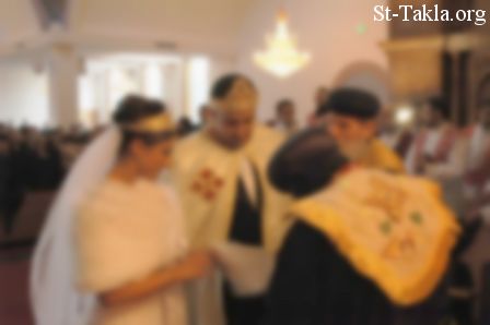 St-Takla.org Image: Coptic Orthodox Wedding     :      